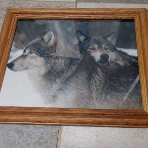 Wolf print under glass in wood frame, ready to mount.
